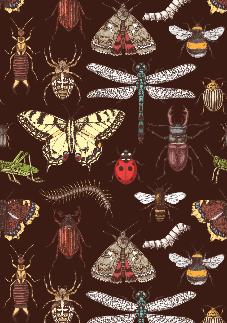 Dixie Belle Entomology hartie orez decoupage A2