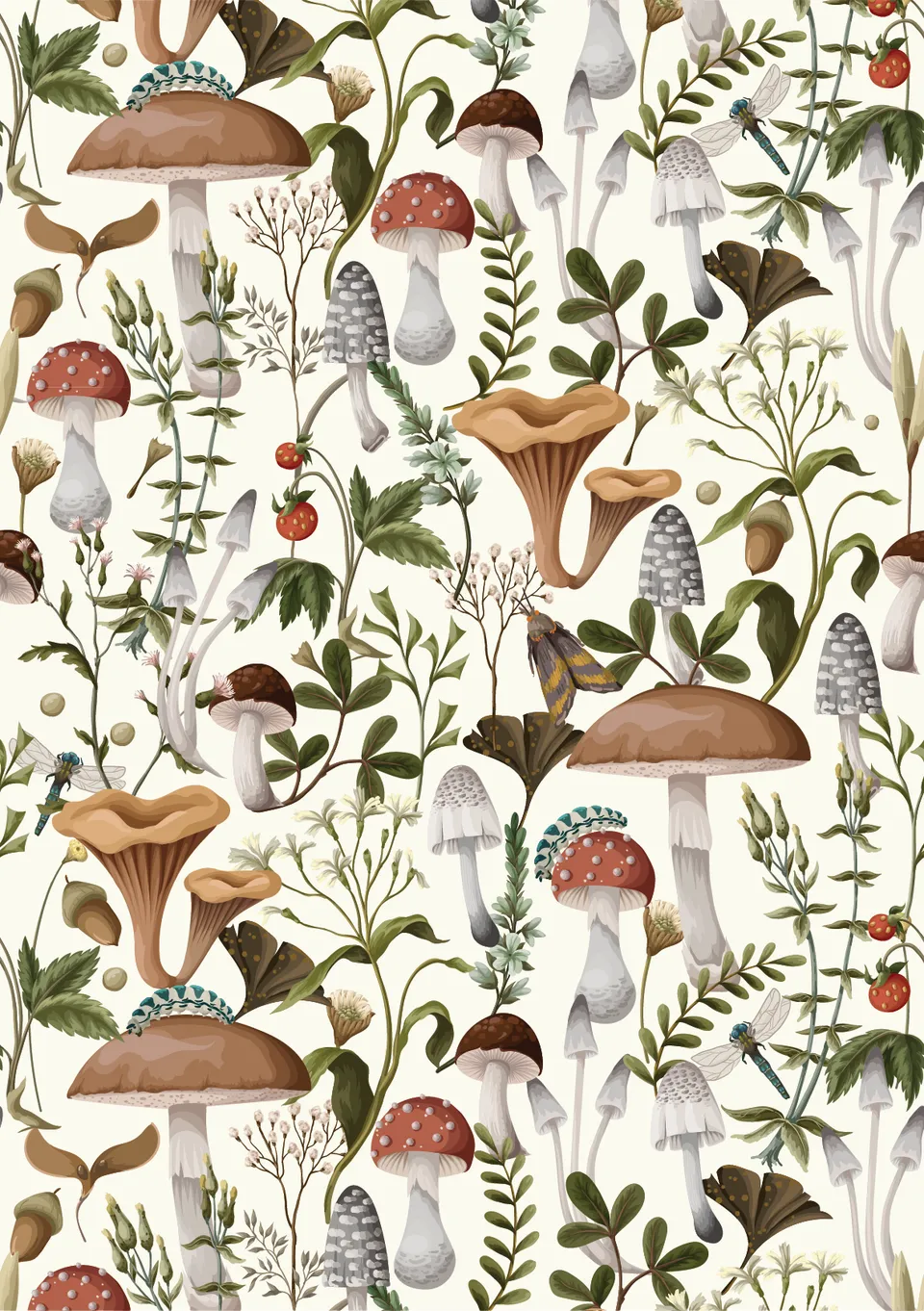 Dixie Belle Forager's Mushrooms hartie orez A2 ciuperci