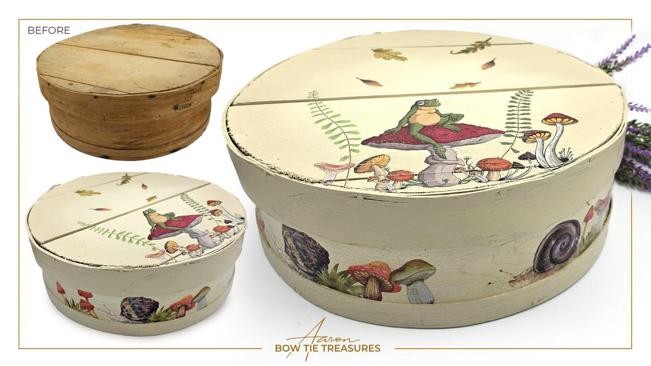 Dixie Belle Mr Toad Transfer decorativ mic 4 coli
