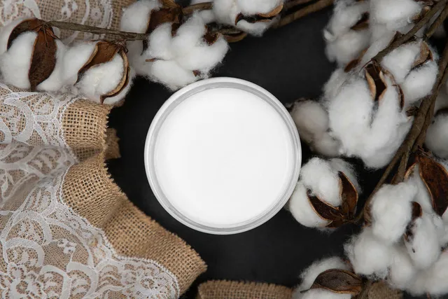 Dixie Belle Chalk Mineral Cotton vopsea cretă alb pur mat