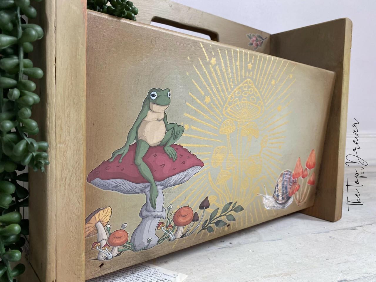 Dixie Belle Mr Toad Transfer decorativ mic 4 coli