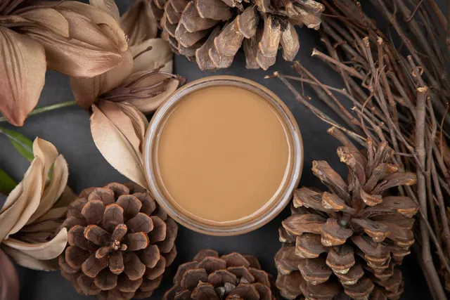 Dixie Belle Chalk Mineral Pine Cone vopsea maro 473ml