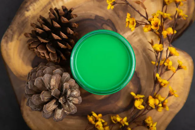 Dixie Belle Chalk Mineral Tree Frog Green vopsea creta 473 ml verde