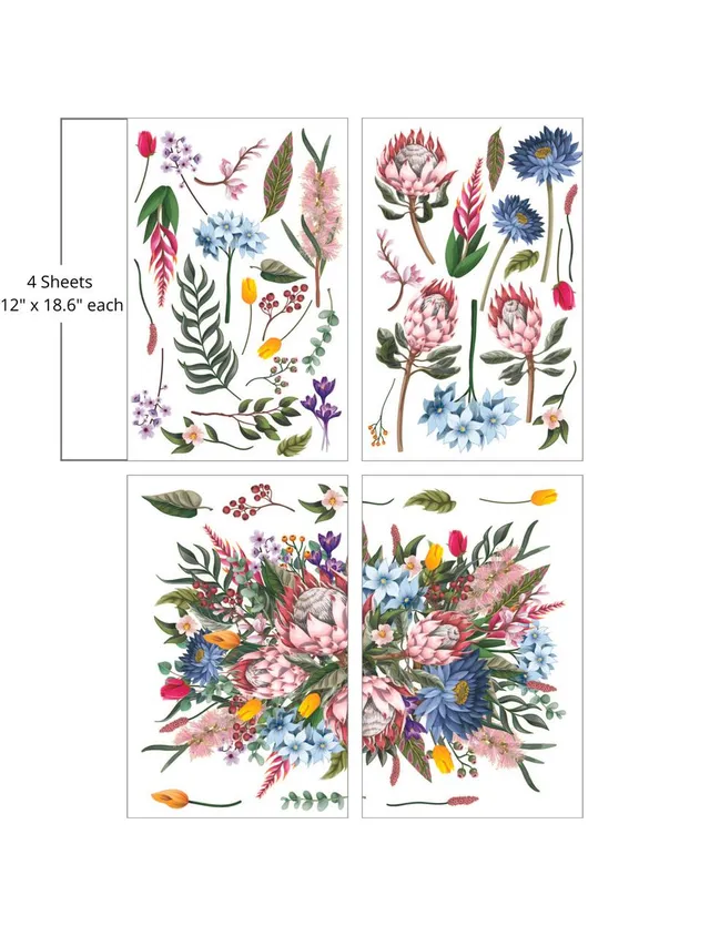 Dixie Belle Belles and Whistles King Protea transfer mobilier mare