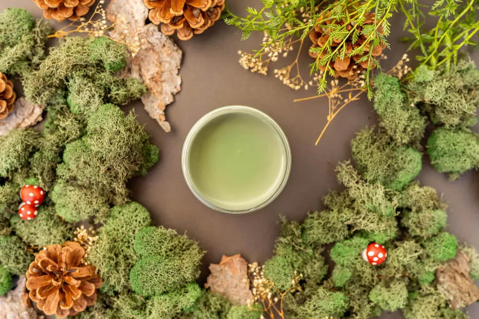 Dixie Belle Chalk Weeping Willow vopsea creta 473 ml verde