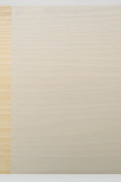 Dixie Belle Whitewash Glaze glazură decorativă albă