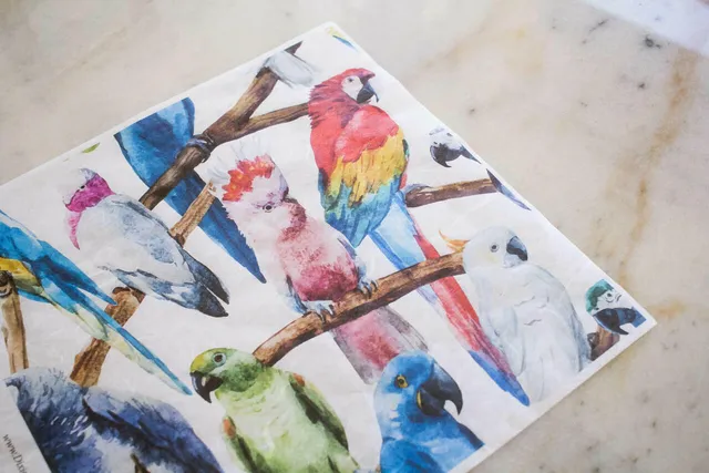 Dixie Belle Birds hârtie decoupage păsări 3 coli