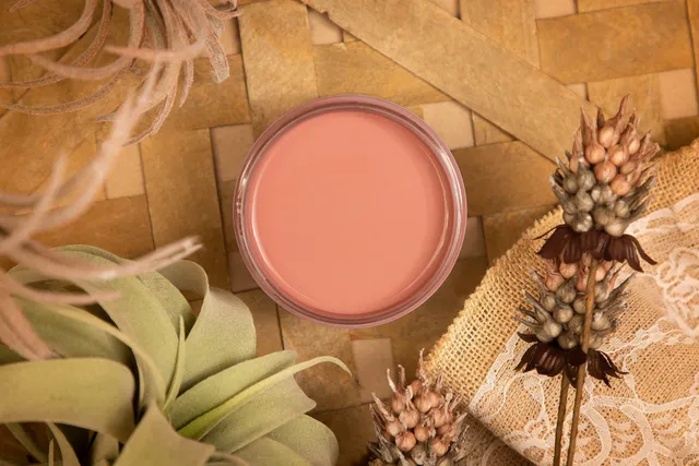 Dixie Belle Silk Desert Rose vopsea mobila 473ml mat roz pudrat