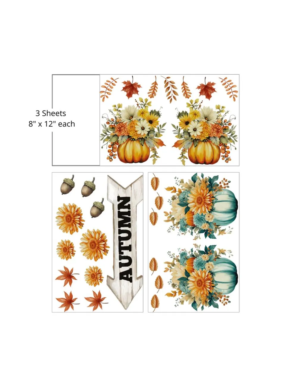 Dixie Belle Belles and Whistles Hey Punkin transfer 3 coli
