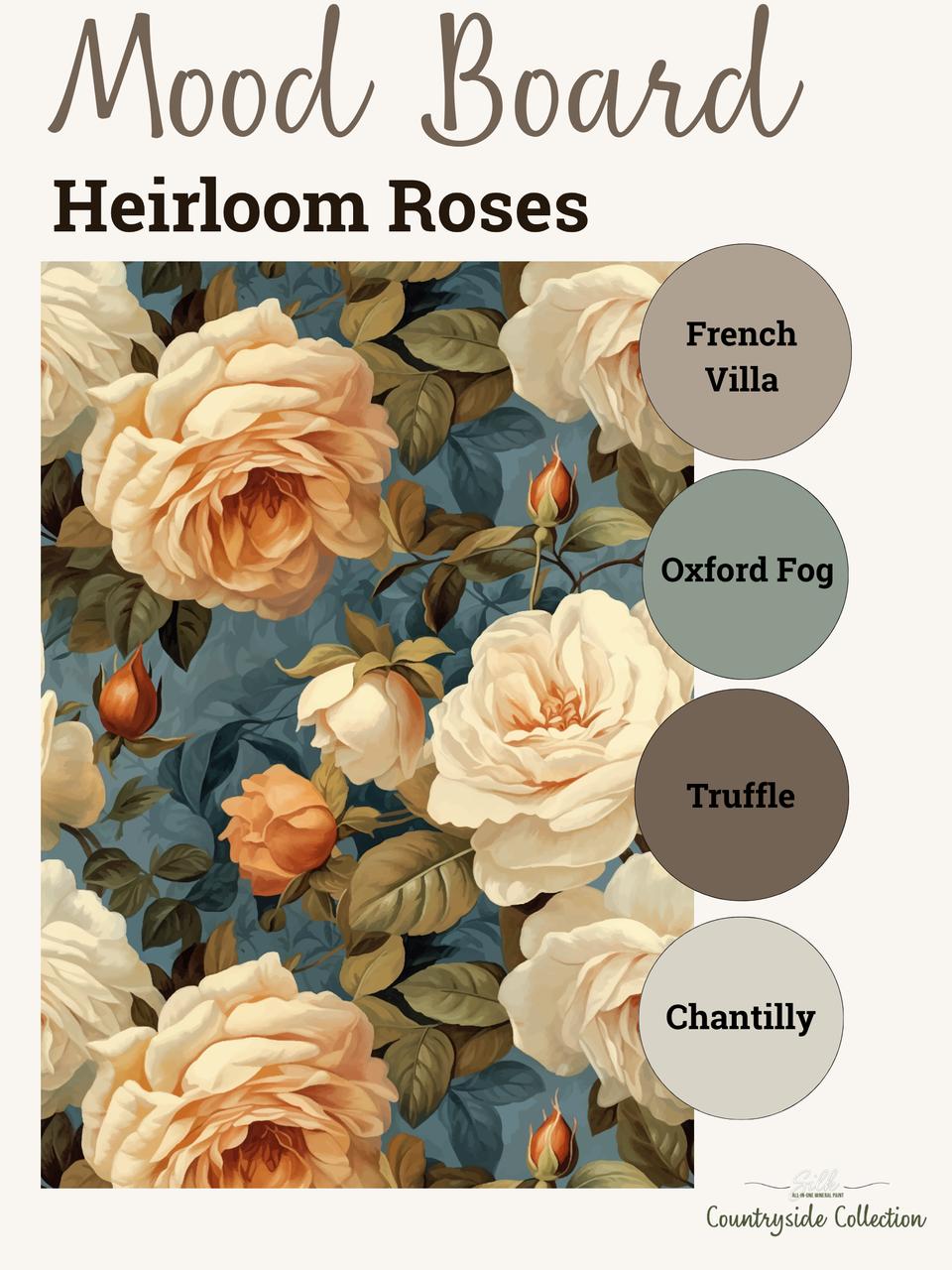 Dixie Belle Heirloom Roses hartie orez trandafiri A1