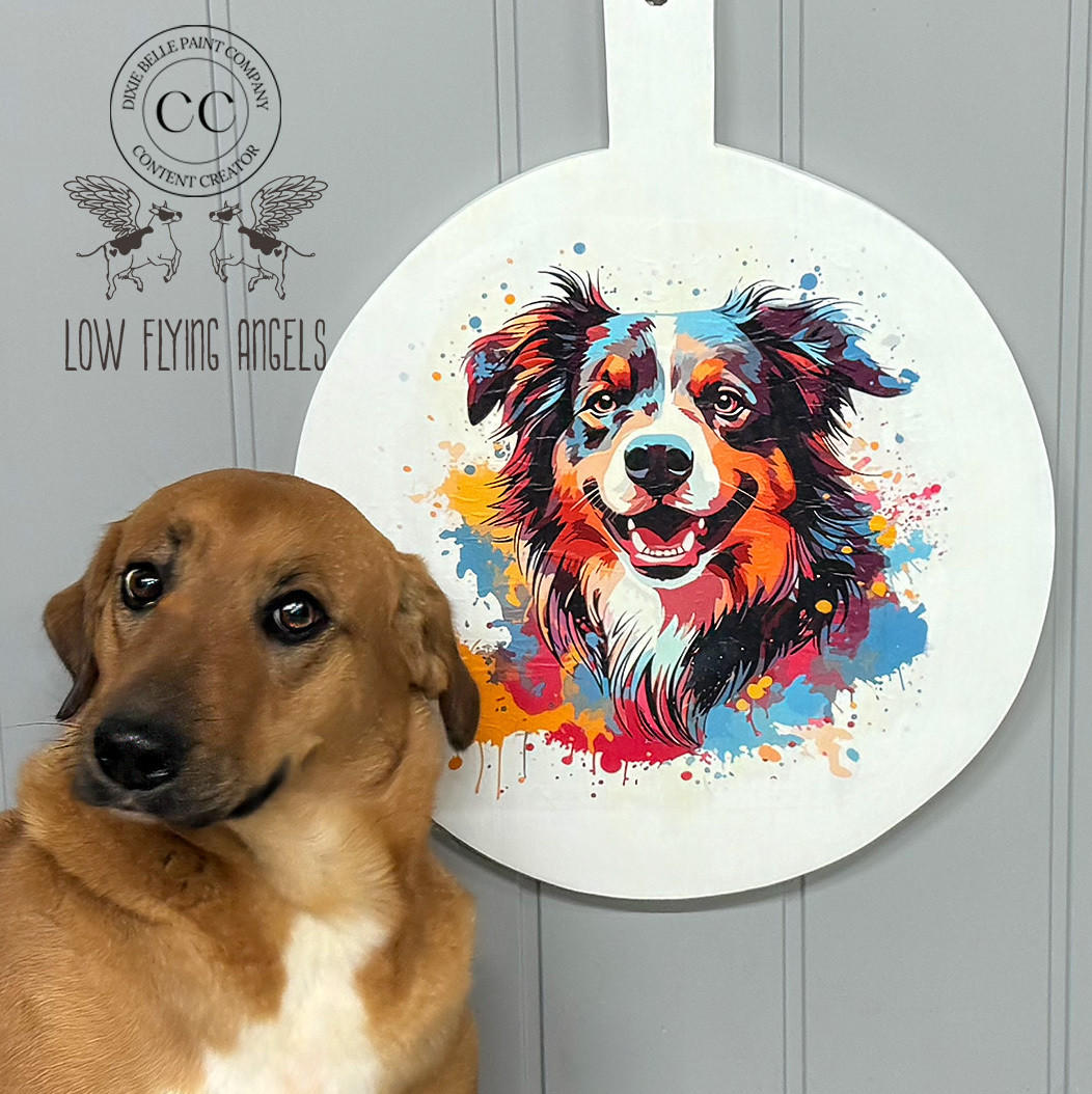 Dixie Belle Mollie the Collie hartie orez decoupage 30x30 cm