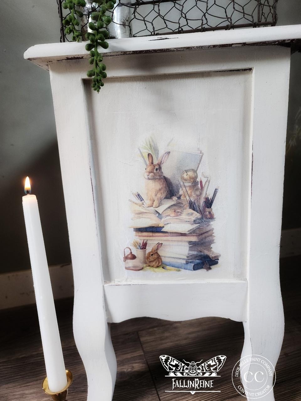 Dixie Belle Peter Rabbit hartie orez A3 iepurasi poveste