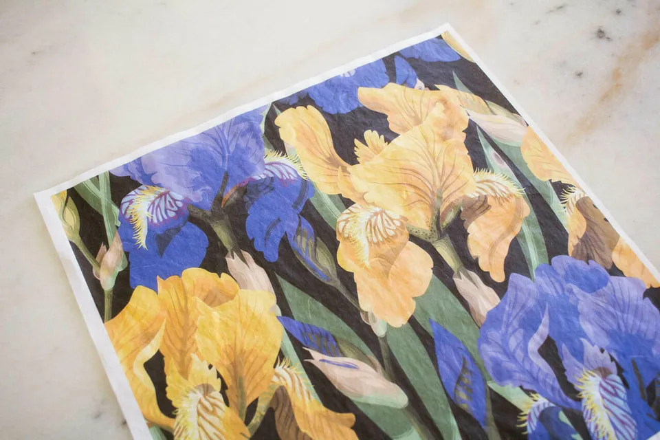 Dixie Belle Floral on Black hartie orez 3 coli flori