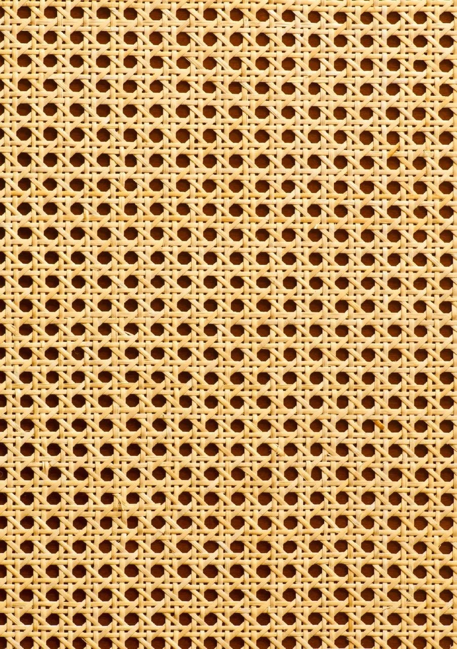 Dixie Belle Cane Webbing hartie orez decoupage A2 1 coala