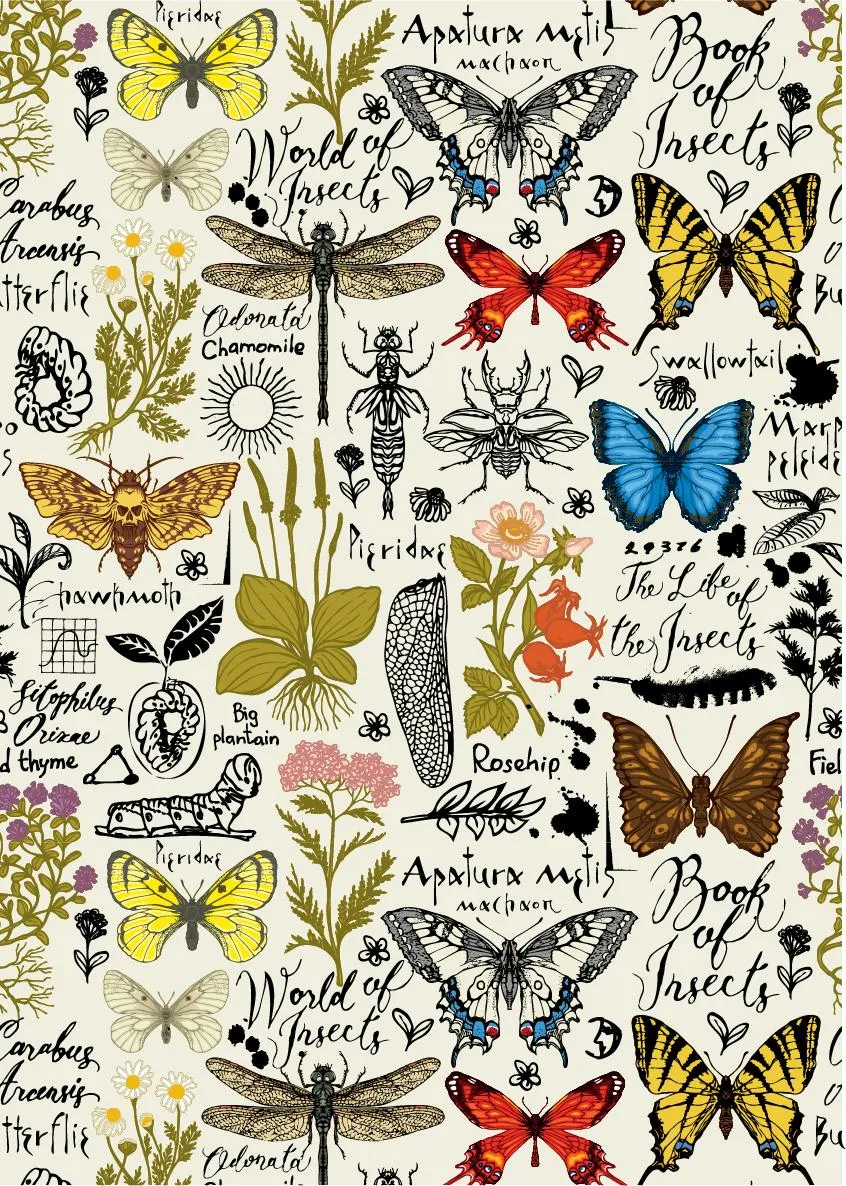 Dixie Belle Book of Insects hartie orez decoupage A3