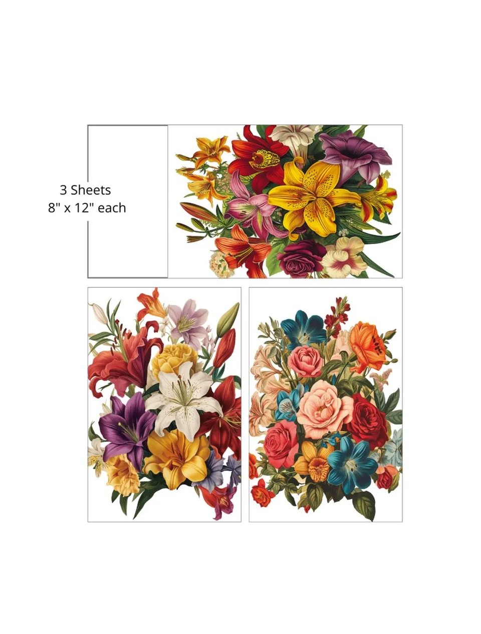 Dixie Belle Belles and Whistles Antique Flora transfer decorativ 3 coli