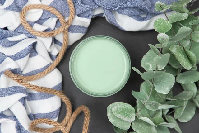 Dixie Belle Mint Julep vopsea cretă verde mentă 473 ml