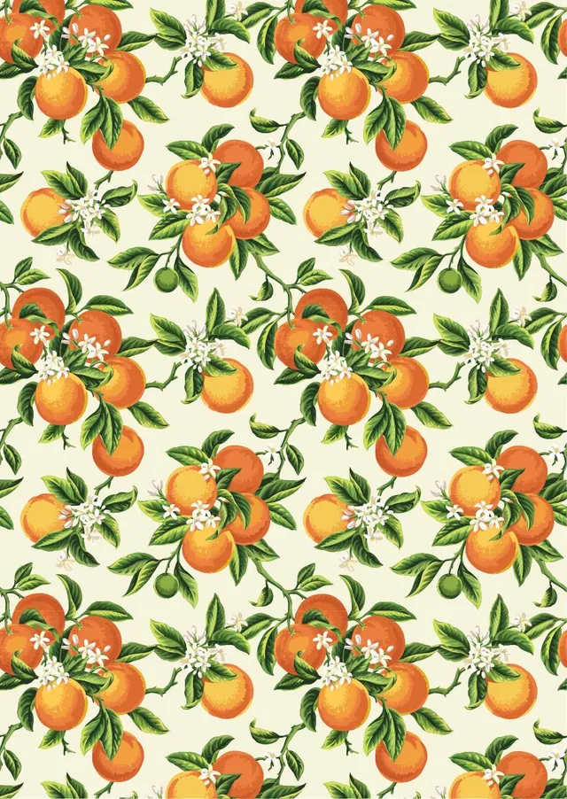 Dixie Belle Belles Vintage Oranges hartie orez A3 portocale