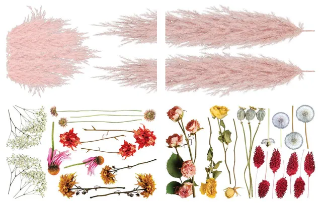 Dixie Belle Belles and Whistles Pink Pampas transfer mobilă 4 coli boho