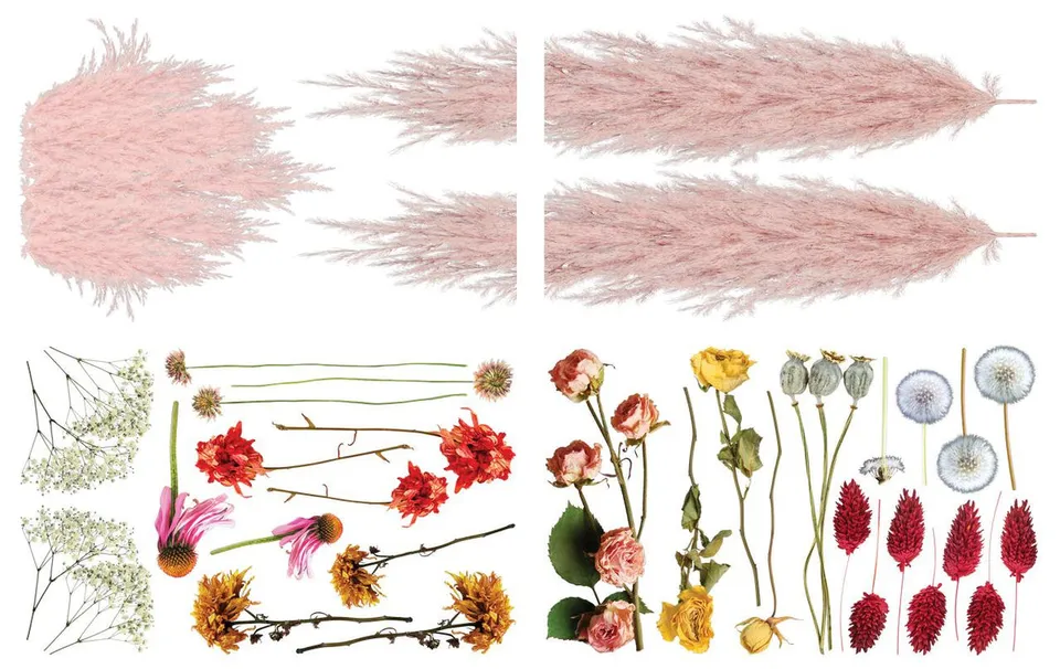 Dixie Belle Belles and Whistles Pink Pampas transfer mobilă 4 coli boho
