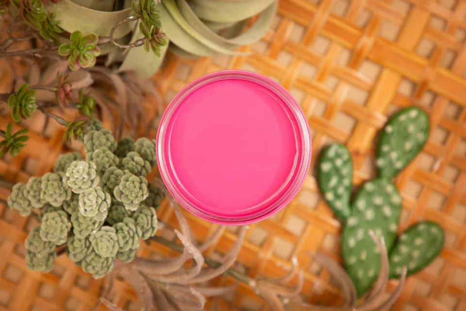 Dixie Belle Silk Prickly Pear vopsea mobila 473ml roz intens mat